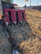 팜모닝 벼·영농일지 게시글 이미지