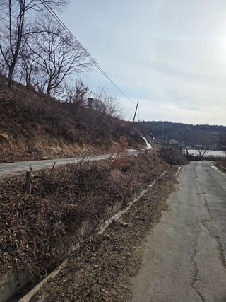 김연숙님의 기타작물 · 영농일지 작성글 사진