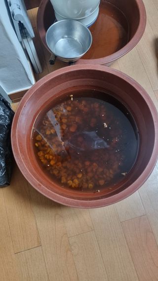 김동명님의 기타작물 · 영농일지 작성글 사진