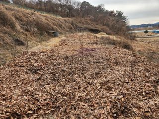 김재현님의 기타작물 · 영농일지 작성글 사진