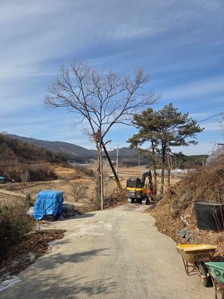 김연숙님의 기타작물 · 영농일지 작성글 사진
