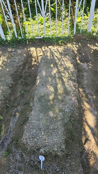 윤두현님의 기타작물 · 영농일지 작성글 사진