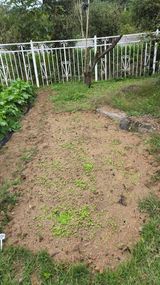 팜모닝 기타작물·영농일지 게시글 이미지