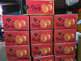 민성종묘(감귤묘목)님의 기타작물 · 영농일지 작성글 사진