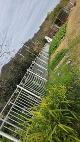 팜모닝 기타작물·영농일지 게시글 이미지