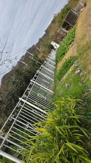 윤두현님의 기타작물 · 영농일지 작성글 사진