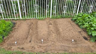 윤두현님의 기타작물 · 영농일지 작성글 사진