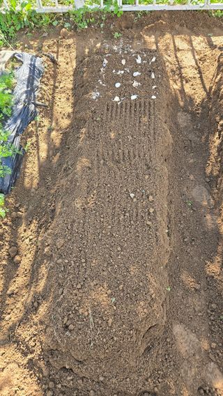 윤두현님의 기타작물 · 영농일지 작성글 사진