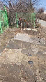 팜모닝 고추·영농일지 게시글 이미지