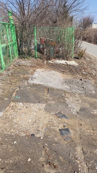 송완춘님의 고추 · 영농일지 작성글 사진