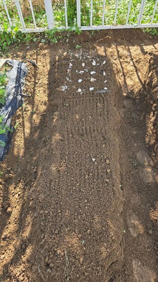 윤두현님의 기타작물 · 영농일지 작성글 사진