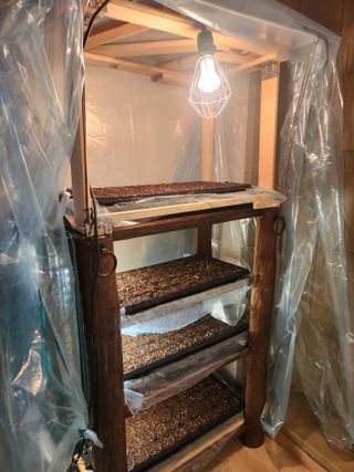 노복우님의 고추 · 영농일지 작성글 사진