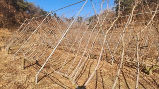 김준한님의 작성글 사진