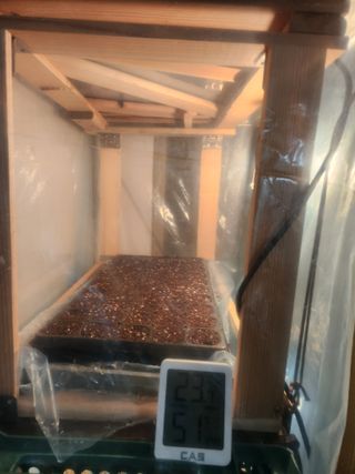 노복우님의 고추 · 영농일지 작성글 사진