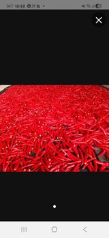 팜모닝 기타작물·영농일지 게시글 이미지