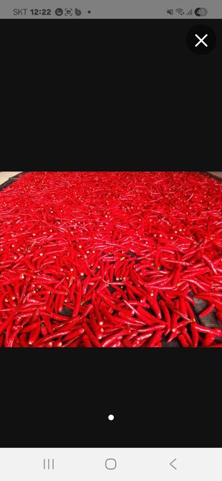 제니 박 상님의 기타작물 · 영농일지 작성글 사진