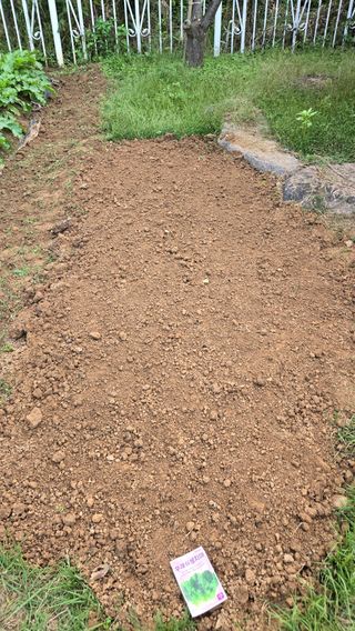 윤두현님의 기타작물 · 영농일지 작성글 사진