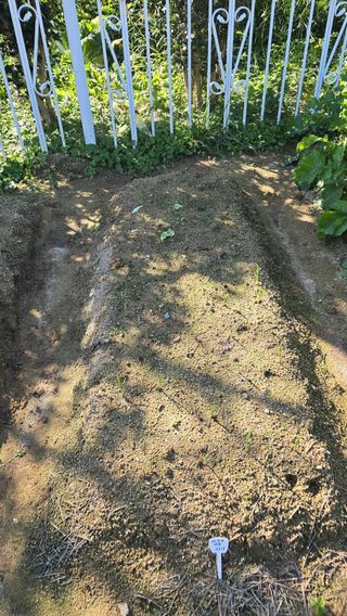 윤두현님의 기타작물 · 영농일지 작성글 사진