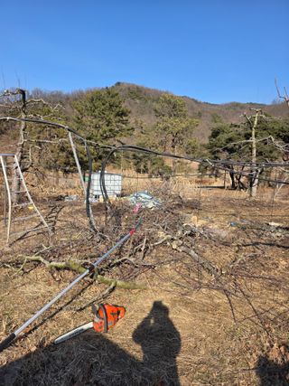 김재현님의 사과 · 영농일지 작성글 사진