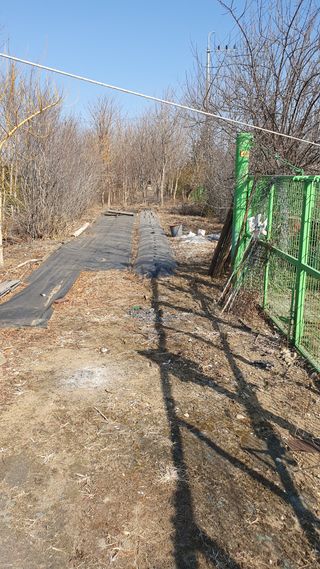 송완춘님의 고추 · 영농일지 작성글 사진