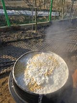 팜모닝 기타작물·영농일지 게시글 이미지