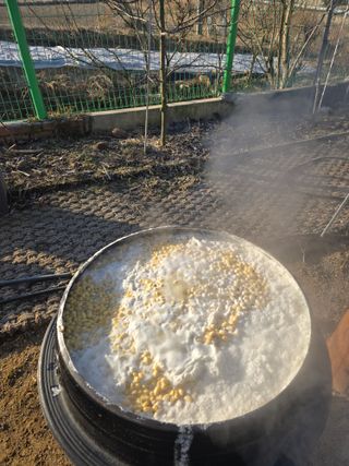 김동호님의 기타작물 · 영농일지 작성글 사진