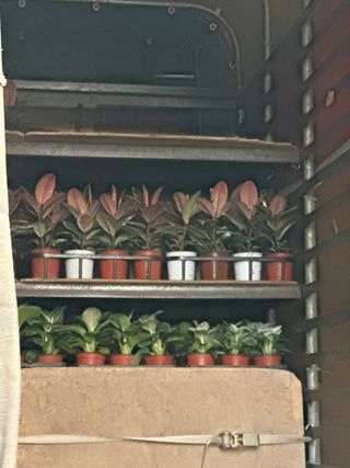 두릅나무15847님의 기타작물 · 영농일지 작성글 사진