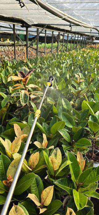 두릅나무15847님의 기타작물 · 영농일지 작성글 사진