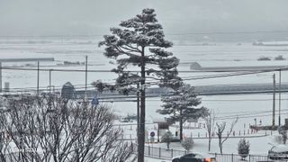 염봉섭님의 기타작물 · 영농일지 작성글 사진