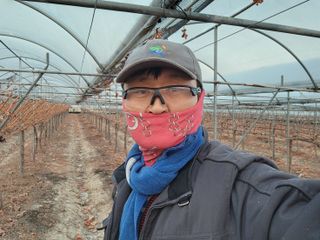 잘살아보세님의 포도 · 영농일지 작성글 사진