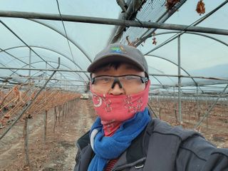 잘살아보세님의 포도 · 영농일지 작성글 사진