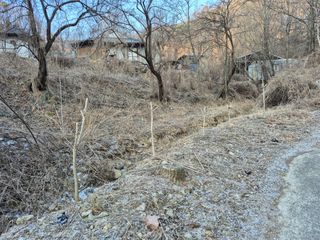 엉뚱님의 기타작물 · 영농일지 작성글 사진