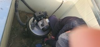 박상중님의 시금치 · 영농일지 작성글 사진