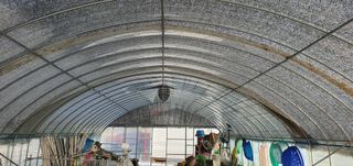 박상중님의 시금치 · 영농일지 작성글 사진