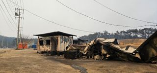 대봉농원 이경화님의 기타작물 · 영농일지 작성글 사진