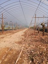 팜모닝 기타작물·영농일지 게시글 이미지