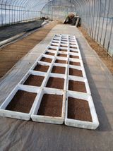 팜모닝 고추·영농일지 게시글 이미지