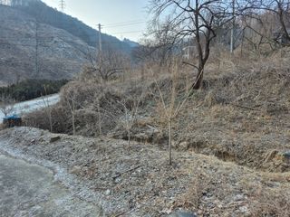 엉뚱님의 기타작물 · 영농일지 작성글 사진