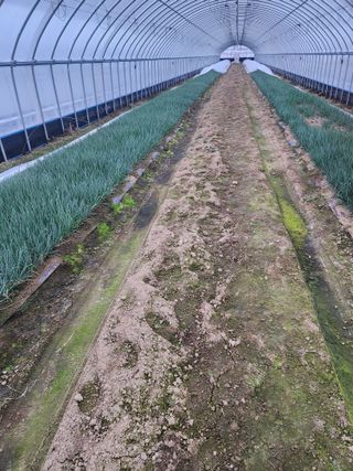 김저팔계님의 작성글 사진