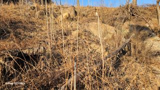 염봉섭님의 기타작물 · 영농일지 작성글 사진