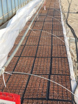 금은숙님의 기타작물 · 영농일지 작성글 사진