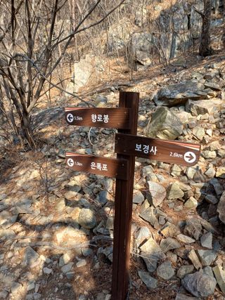 전원수님의 기타작물 · 영농일지 작성글 사진