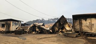 대봉농원 이경화님의 기타작물 · 영농일지 작성글 사진