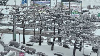 염봉섭님의 기타작물 · 영농일지 작성글 사진