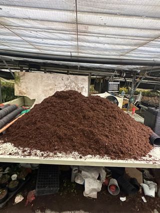 두릅나무15847님의 기타작물 · 영농일지 작성글 사진