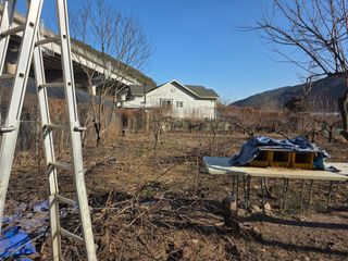 의령사랑영애님의 기타작물 · 영농일지 작성글 사진