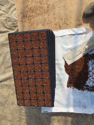 금은숙님의 기타작물 · 영농일지 작성글 사진