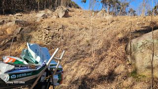 염봉섭님의 기타작물 · 영농일지 작성글 사진