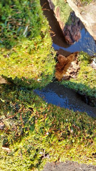 유병욱님의 기타작물 · 영농일지 작성글 사진