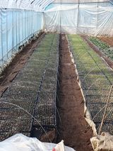 심재룡님의 작성글 사진